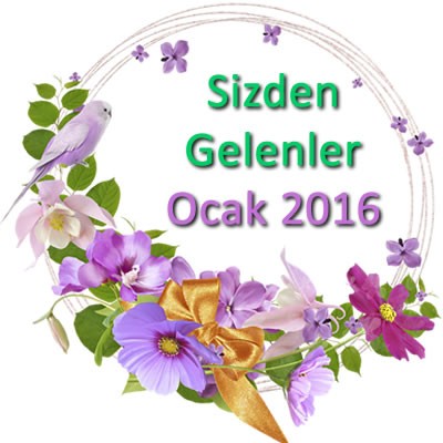 Sizden Gelenler Ocak 2016