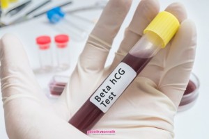 Bebek ve Annenin Sağlığını Koruyan Doğal Bir Mekanizma HCG Hormonu